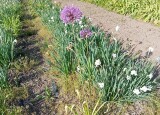 IMG_20250514_082535.jpg