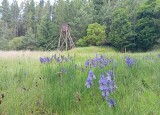 IMG_20250617_104027.jpg