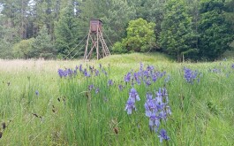 lzapdwzt4r_____IMG_20250617_102808