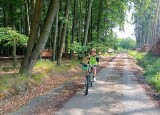 IMG_20250617_100320.jpg