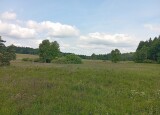 IMG_20250617_104941.jpg