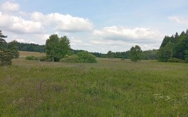 lzapdwzt4r_____IMG_20250617_102808