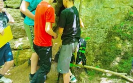 wdwqrtpbay_____IMG-20250619-WA0002