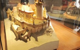 wdwqrtpbay_____IMG-20250619-WA0002