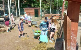 l6g90hynqn_____20250618_095248