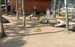 l6g90hynqn_____20250618_095248