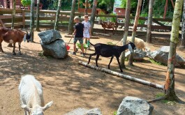 l6g90hynqn_____20250618_095248