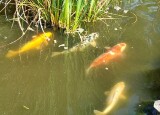 20250618_093009.jpg