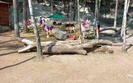 l6g90hynqn_____20250618_095248