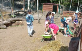 l6g90hynqn_____20250618_095248