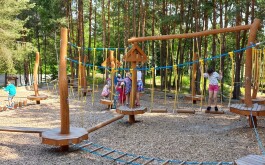 l6g90hynqn_____20250618_095248