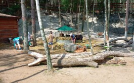 l6g90hynqn_____20250618_095248