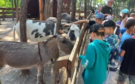 l6g90hynqn_____20250618_095248