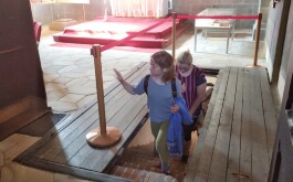 ggwagvd8np_____IMG_20250619_093737_1