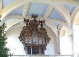 IMG_20250619_093051_1.jpg