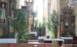 ggwagvd8np_____IMG_20250619_093737_1