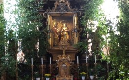 ggwagvd8np_____IMG_20250619_093737_1