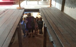 ggwagvd8np_____IMG_20250619_093737_1