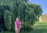 IMG_7329.JPEG