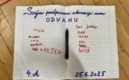 bymqq5ryd7_____IMG_7353
