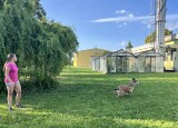 IMG_7331.JPEG