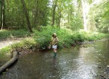 IMG-20250914-WA0118.jpg
