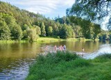 IMG-20250914-WA0011.jpg