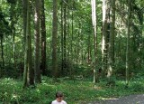 IMG-20250914-WA0130.jpg