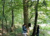 IMG-20250916-WA0004.jpg