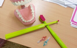 nnx0e73798_____20250926_102100 nnx0e73798_____20250926_102100