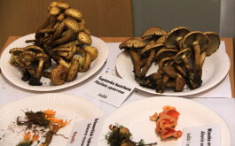 f1zx51ko5i_____IMG-20251013-WA0011