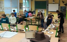 f1zx51ko5i_____IMG-20251013-WA0011