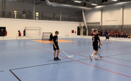 sidsb920zv_____IMG_6854