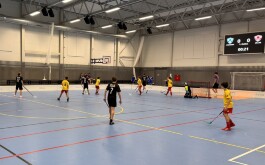 sidsb920zv_____IMG_6854