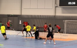 sidsb920zv_____IMG_6854