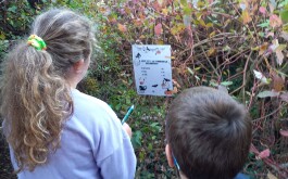 kup4frjwks_____20251021_134008