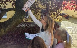 kup4frjwks_____20251021_134008