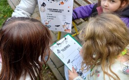 kup4frjwks_____20251021_134008