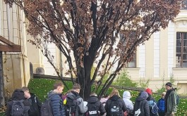 ut6dalq9mb_____IMG-20251110-WA0030