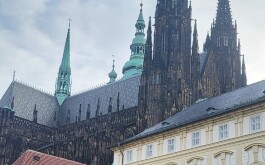 ut6dalq9mb_____IMG-20251110-WA0030