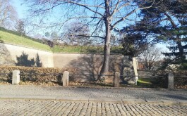 ibpxku9qdm_____IMG_20251119_110549