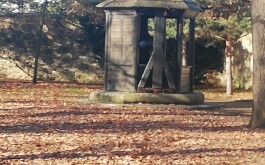 ibpxku9qdm_____IMG_20251119_110549