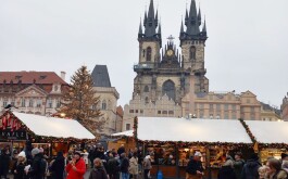 48p17crtn7_____IMG-20251204-WA0011