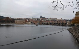 48p17crtn7_____IMG-20251204-WA0011