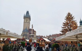 48p17crtn7_____IMG-20251204-WA0011