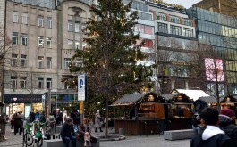 48p17crtn7_____IMG-20251204-WA0011