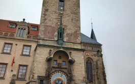 48p17crtn7_____IMG-20251204-WA0011