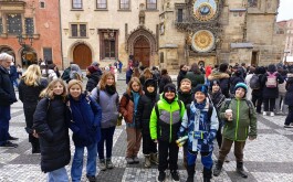 48p17crtn7_____IMG-20251204-WA0011