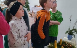 jucgjcau3t_____IMG-20251123-WA0004