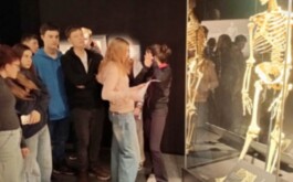 t3jj4lc0u3_____WhatsApp Image 2026-01-14 at 15.57.38 (1)